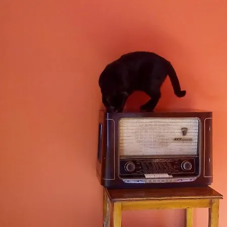 דירה Casa Da Oliveira