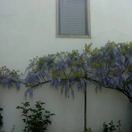 Casa Da Oliveira Apartamento *