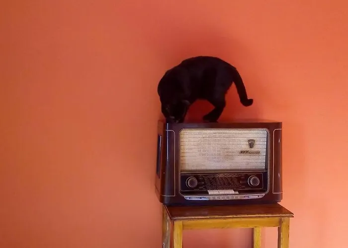 شقة Casa Da Oliveira