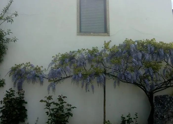 Casa Da Oliveira شقة *